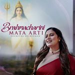 Brahmacharini Mata Aarti