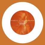 Canyons (feat. Jason Walker) (Radio Edit)