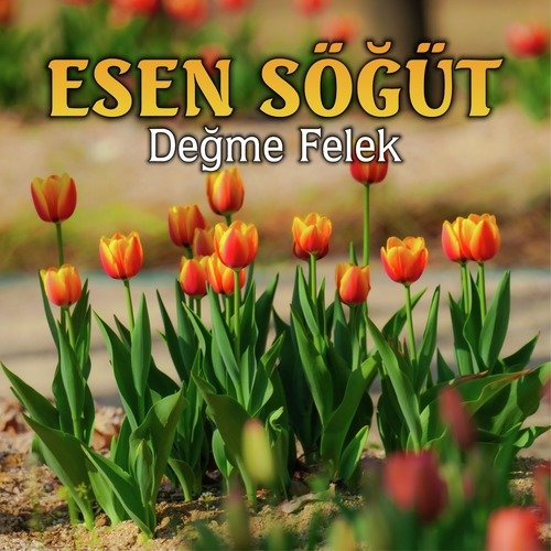 Ekin Ektim