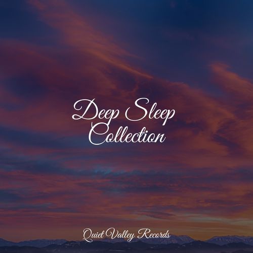 Deep Sleep Collection