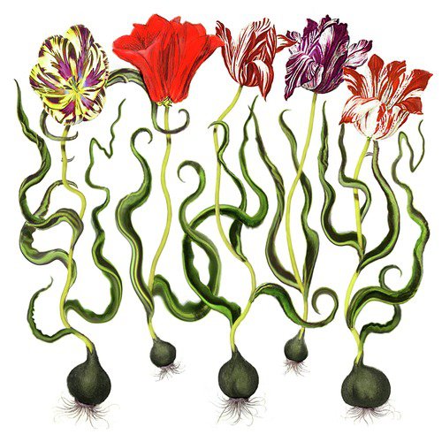 Ishavet cover art