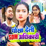 Dhokha Deli Sdm Adhikari