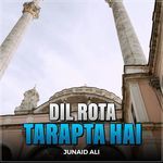 Dil Rota Tarapta Hai
