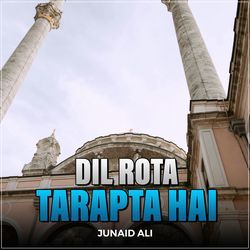 Dil Rota Tarapta Hai