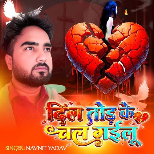 Dil Tod Ke Chal Gailu