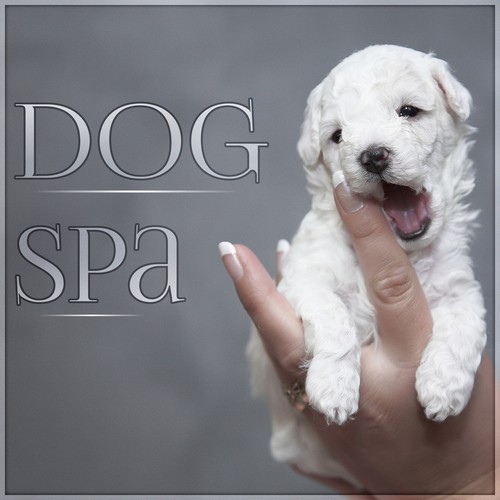 Dog Spa - Calm Down Your Dog, Pet Relaxation, Stress Relief, Anxiety Medication, Sleep Aids, Music Therapy for Dogs