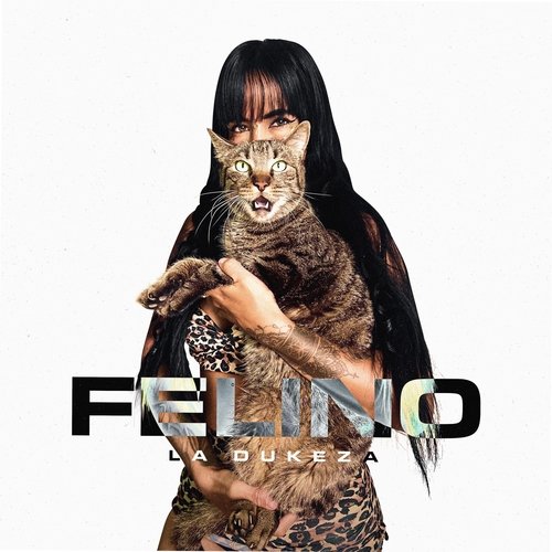 Felino cover art