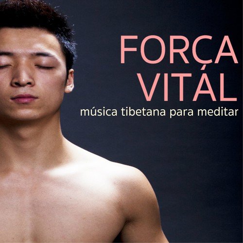 Musica Reiki cover art