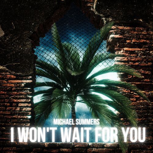 I Won't Wait for You