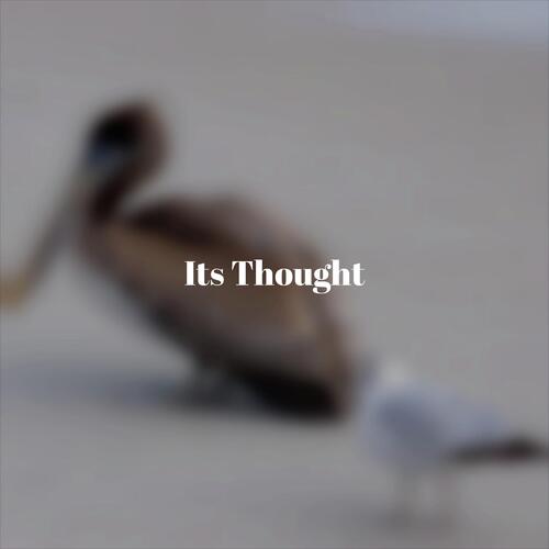 Its Thought cover art