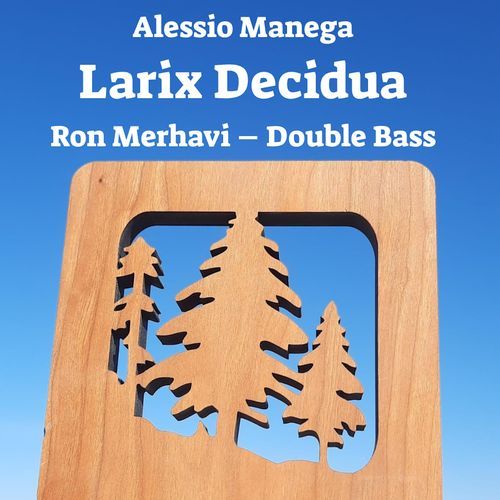 Larix Decidua cover art