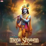 Mera Shyam Mera Rakhwala Hai