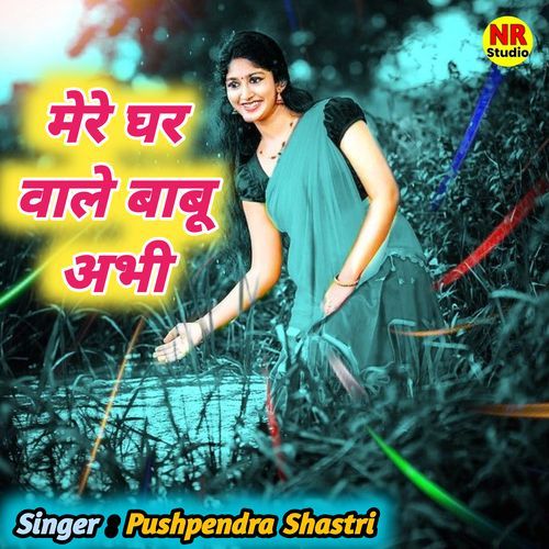 Mere Ghar Vale Babu Abhi