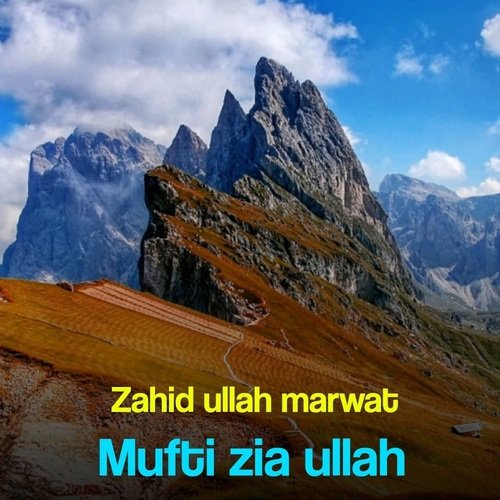 Mufti Ziaullah