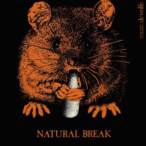 Jamie cover art