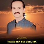 Nayab Nia Sia Gull Nia