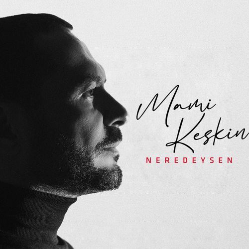 Acımın Ardından cover art