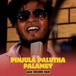 Pinjula Palutha Palamey