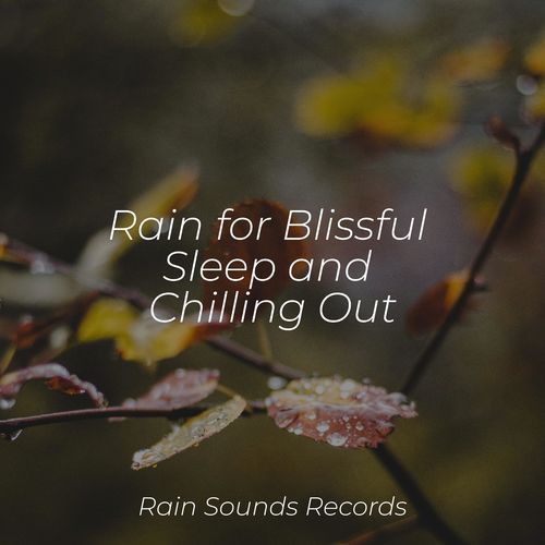 Rain for Blissful Sleep and Chilling Out