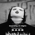 Roaming At Night