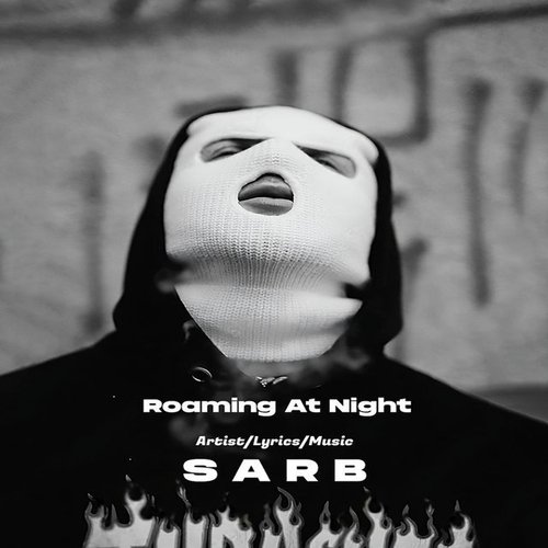Roaming At Night