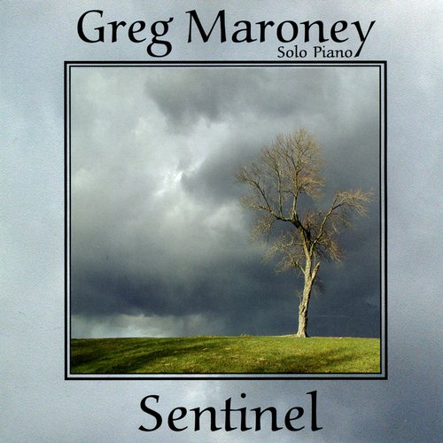 Birds on a Wire cover art