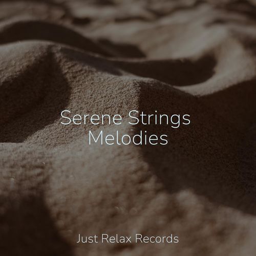 Serene Strings Melodies