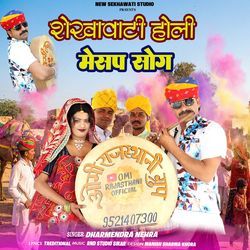 Shekhawati Holi Mashup Song