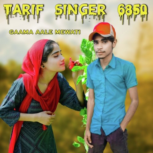 Tarif Singer 6850