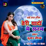 Teri Yaadon Me Sanam