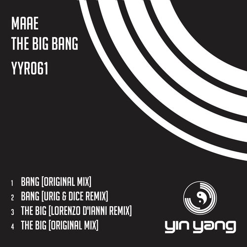The Big (Lorenzo D'Ianni Remix) cover art