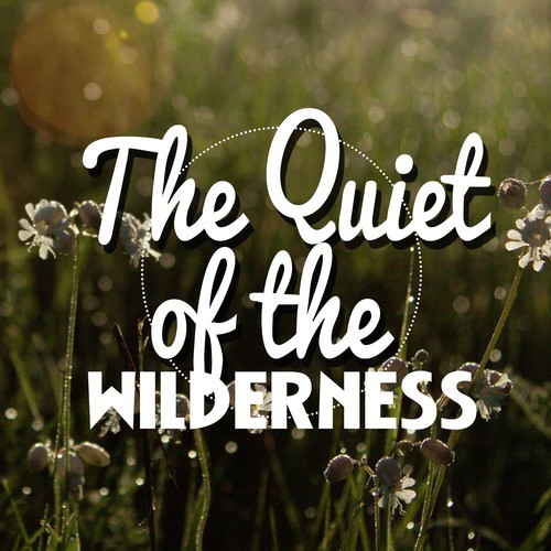 The Quiet of the Wilderness_poster_image