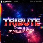 Tribute (Mood 5 Remix) (Mood 5 In The Club Radio Mix) artwork