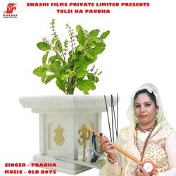 Tulsi Ka Paudha-Ew4dcD1pD1g