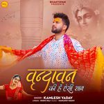 Vrindavan Ki Hai Aisi Shan