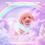 You Don't Know Me (Sidekick Remix)