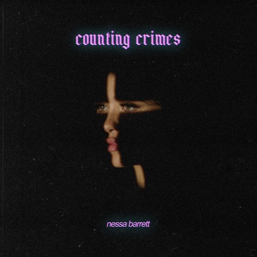 counting crimes_poster_image