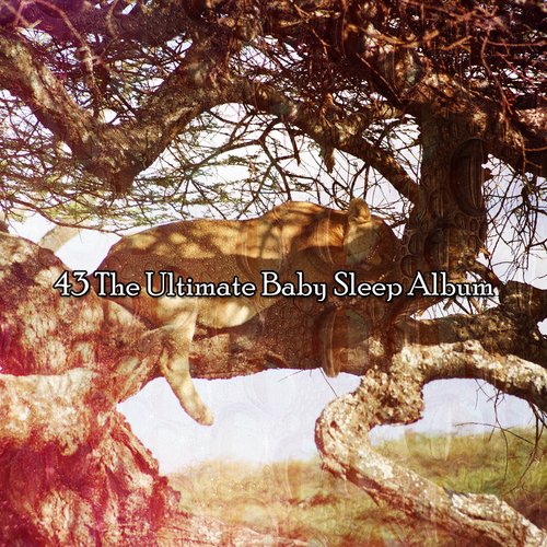 43 The Ultimate Baby Sleep Album