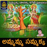 Amamma Sammakka (Sammakka Sarakka Koti Pujalu)