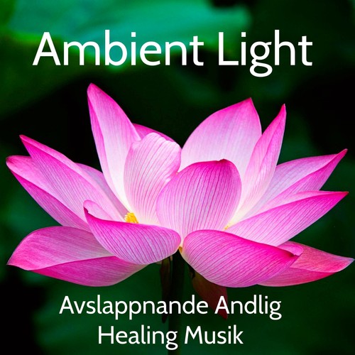Ambient Light - Avslappnande Andlig Healing Musik för Djup Meditation Sömncykler och Förbättra Koncentration, Naturens Instrumental Ljud