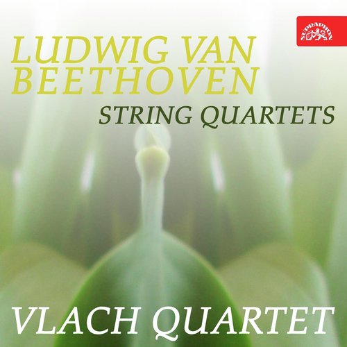 Beethoven: String Quartets