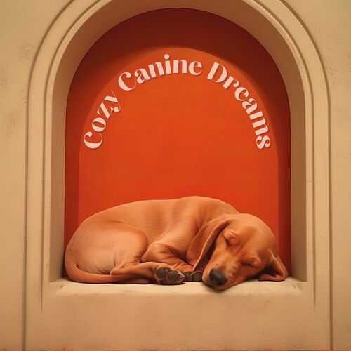 Cozy Canine Dreams_poster_image