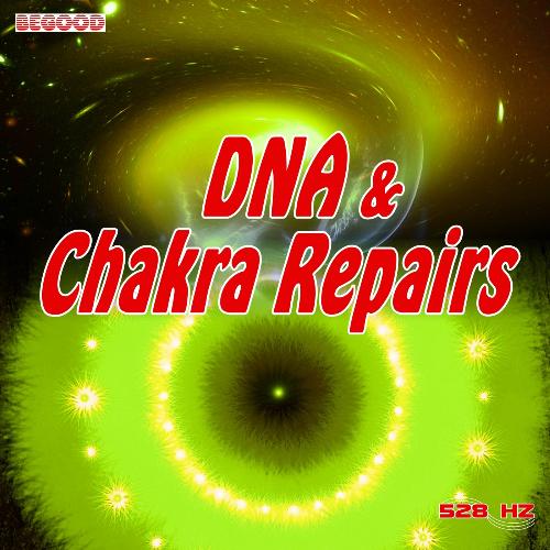 DNA & Chakra Repairs