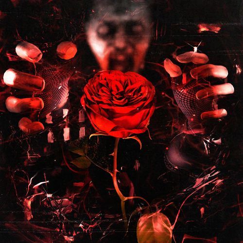 Dark Rose_poster_image