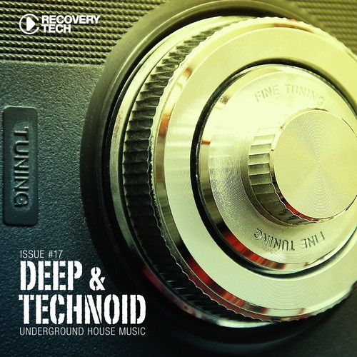 Deep & Technoid, Vol. 17