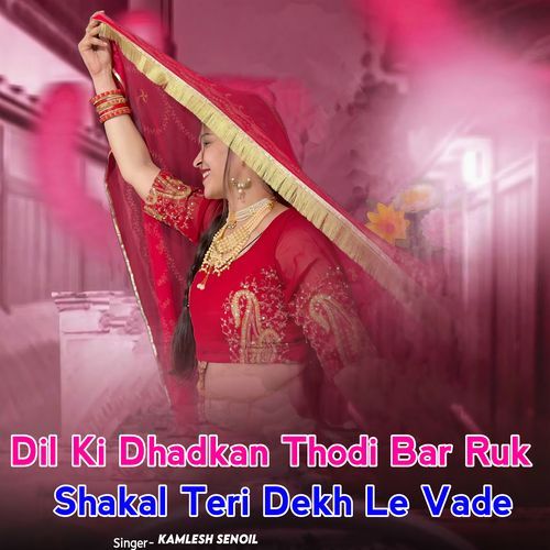 Dil Ki Dhadkan Thodi Bar Ruk Shakal Teri Dekh Le Vade