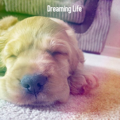 Dreaming Life