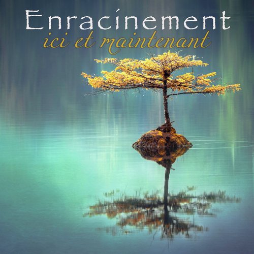 Enracinement, ici et maintenant – Musique zen pour se connecter à la Terre Mère, être en contact avec les énergies qui nous entoure, se sentir présent