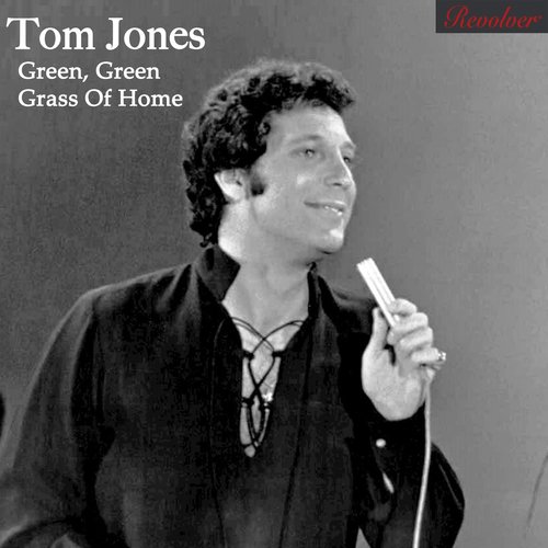 Tom Jones - Green Green Grass Of Home Lyrics