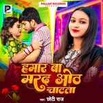 Hamar Ba Marad Hot Chatata